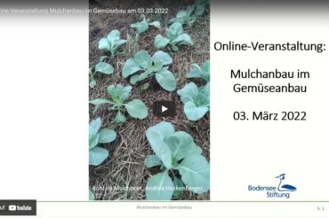 Online-Seminar Mulchanbau im Gemüsebau
